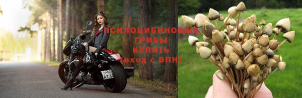 мет Коряжма